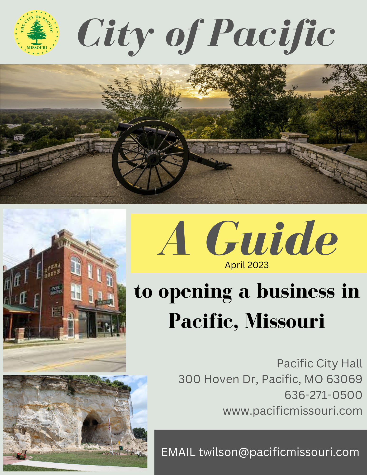 Page 1 New Business Guide